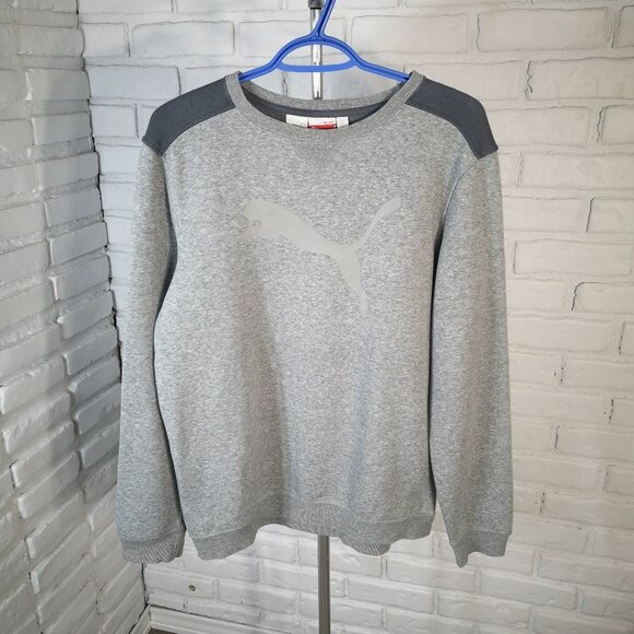Puma Sport Lifestyle Men's Size Small Grey Fleece Lined Warm Cell Sweatshirt - Picture 1 of 10
